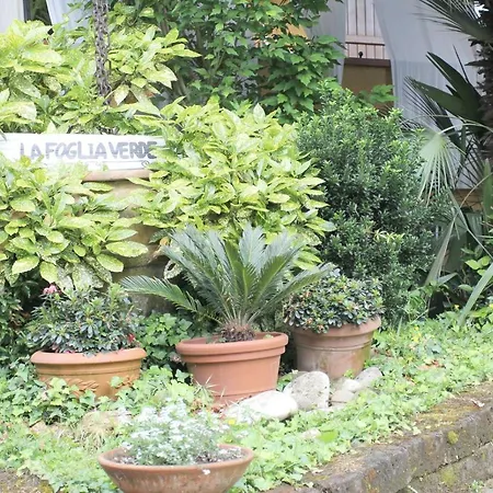 Bed & Breakfast La Foglia 3*