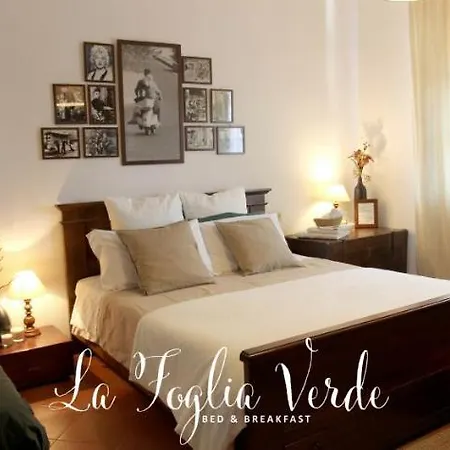 Bed & Breakfast La Foglia