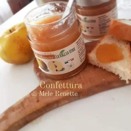 Bed & Breakfast La Foglia