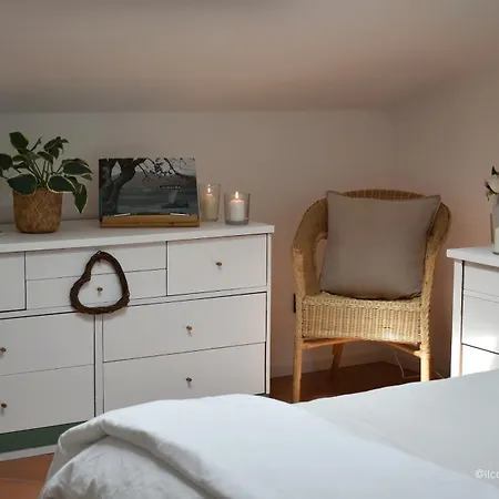 Bed & Breakfast La Foglia *